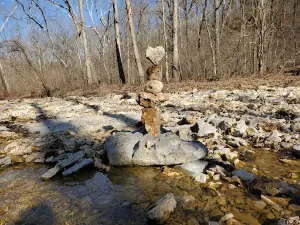 Reifsnider State Forest
