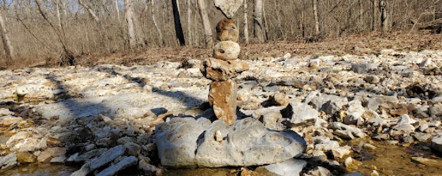 Reifsnider State Forest