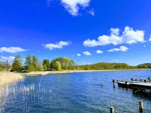 Müritz-Nationalpark