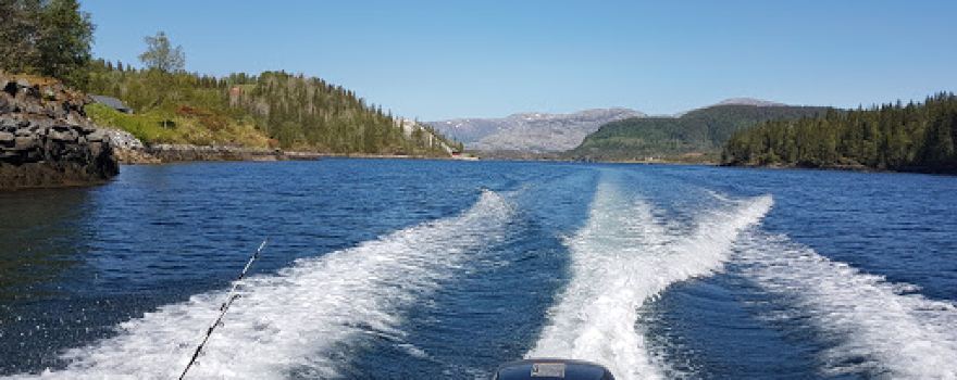 Velfjordferie.no