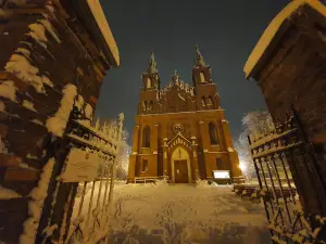 Kościół rzymskokatolicki pw. św. Zygmunta Króla