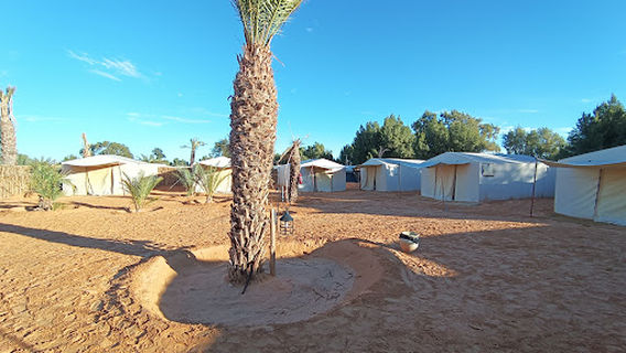 FZAWA Camp