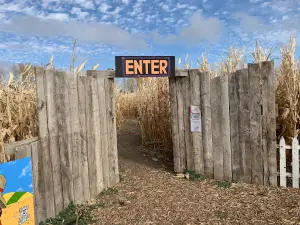 The Haunted Forest