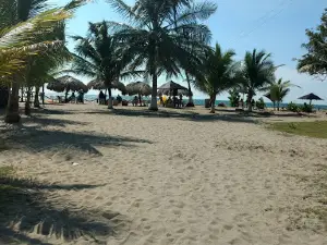 Puerto Viejo - Coveñas