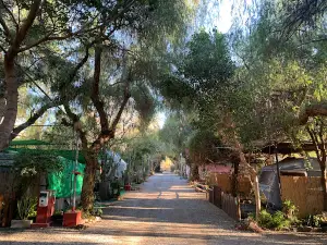 Camping Huerta Romero en Granada