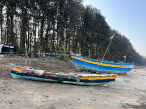 Nargol Beach View