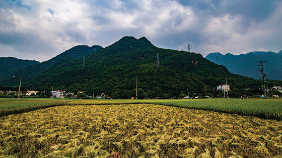 Mai Châu