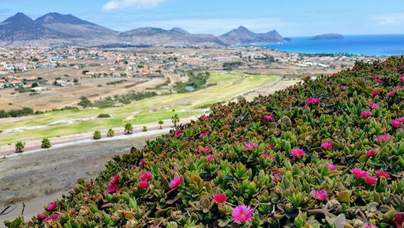 The Organ Pipes - Ana Ferreira Peak