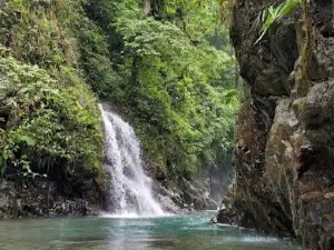 PETUNGKRIYONO KAB PEKALONGAN CENTRAL JAVA