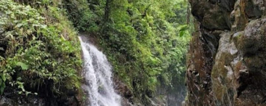 PETUNGKRIYONO KAB PEKALONGAN CENTRAL JAVA