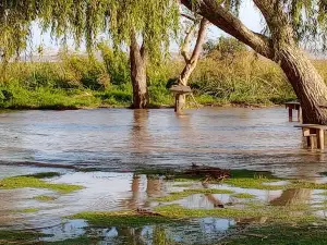 Camping Municipal El Sarandí