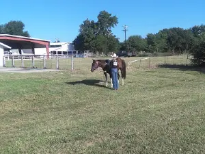 Clay County Fair Ground