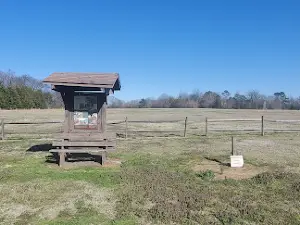 Ingomar Mounds