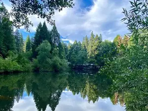 Living Springs RV and Cabins Resort / Mt. Lassen