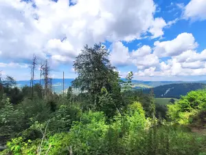 Rezerwat Wysokie Skałki