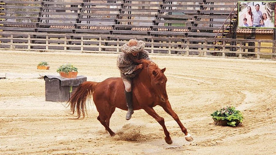 Finkana Parque Temático