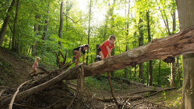 FarmCamps De Verloren Kost