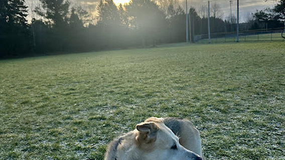 McCulley-Robertson Sports Complex