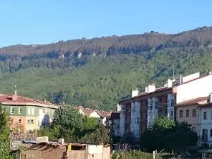 Zelandi Kiroldegia