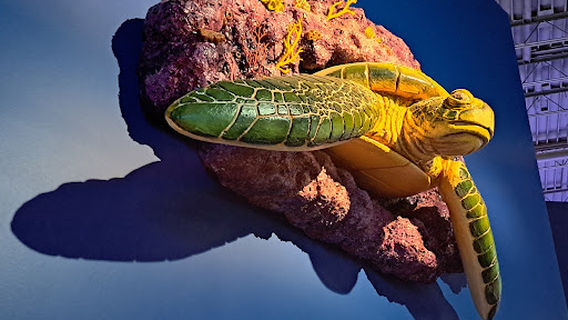 Daytona Aquarium & Rainforest Adventure