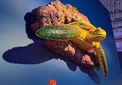 Daytona Aquarium & Rainforest Adventure