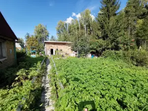 Obshchestvo "Vychegda"