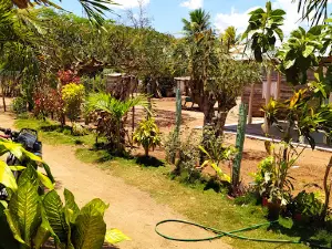 Santa María, Montecristi