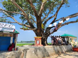 Patul Mini Cox's Bazar