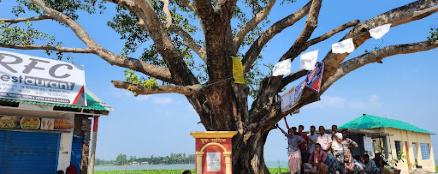 Patul Mini Cox's Bazar