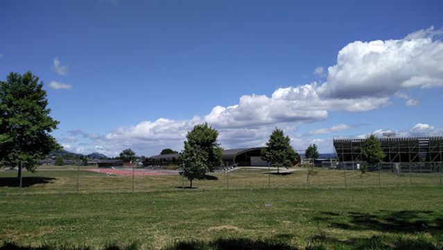 Saxton Oval Nelson Cricket Ground