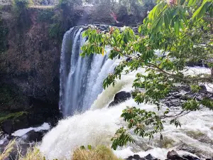 Cascada El Salto de Eyipantla