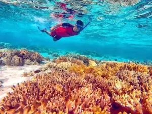 Jack boat Trip Riung