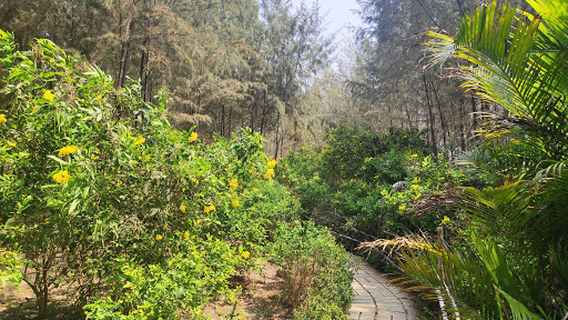 Bắc Bình District