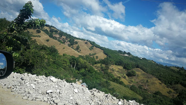 Jardin botanico de janico