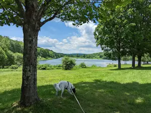 オクアガ・クリーク州立公園