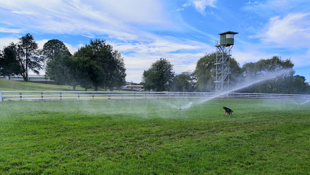 Racing Tauranga Incorporated