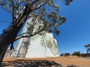 PUBLIC Silo Trail: Ravensthorpe Silo Art