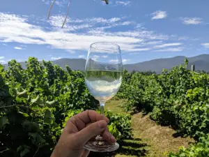 Bramon Restaurant Wine Estate Plettenberg Bay
