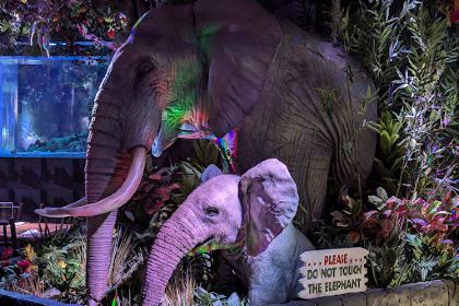 Rainforest Cafe Malta