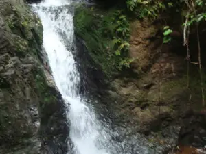 Niagara Pulo Simo