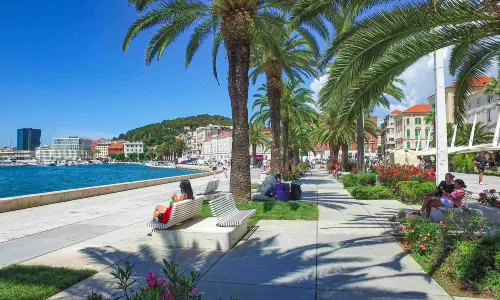 スプリットリーバ