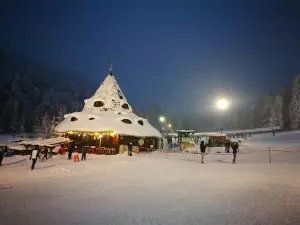 Popular Night Attractions in Romania