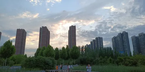 伊川縣植物科普園