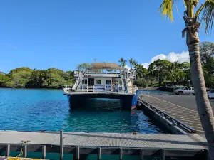 Fair Wind Snorkel Cruises