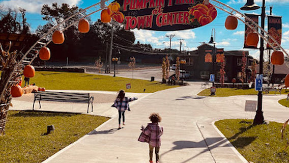 Town Center Park