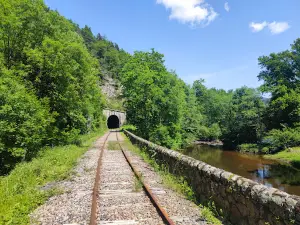 Agrivap train touristique