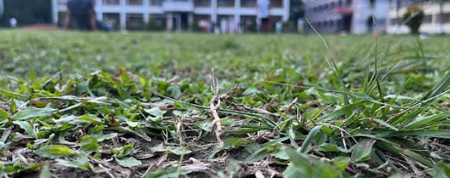 Raban School Playground, রাবান স্কুল খেলার মাঠ