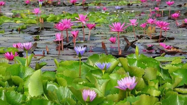 วัดบ้านโพนทอง