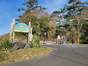 Rockaway Big Tree Trailhead