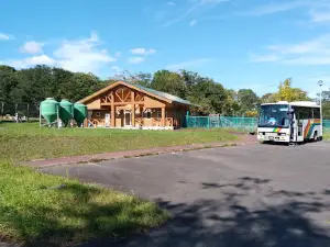 Running Reindeer Ranch